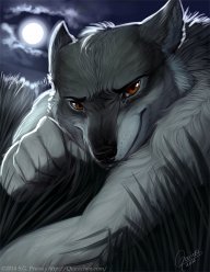 olywolf